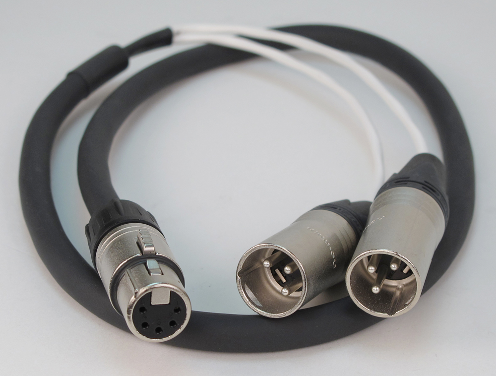 Replacement Audio Cable (XLR5F to Dual XLR3M)